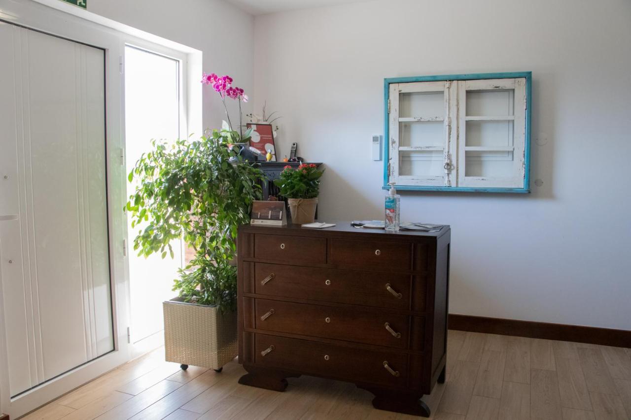 Bed and Breakfast Ninho D'Arara Tondela Zewnętrze zdjęcie
