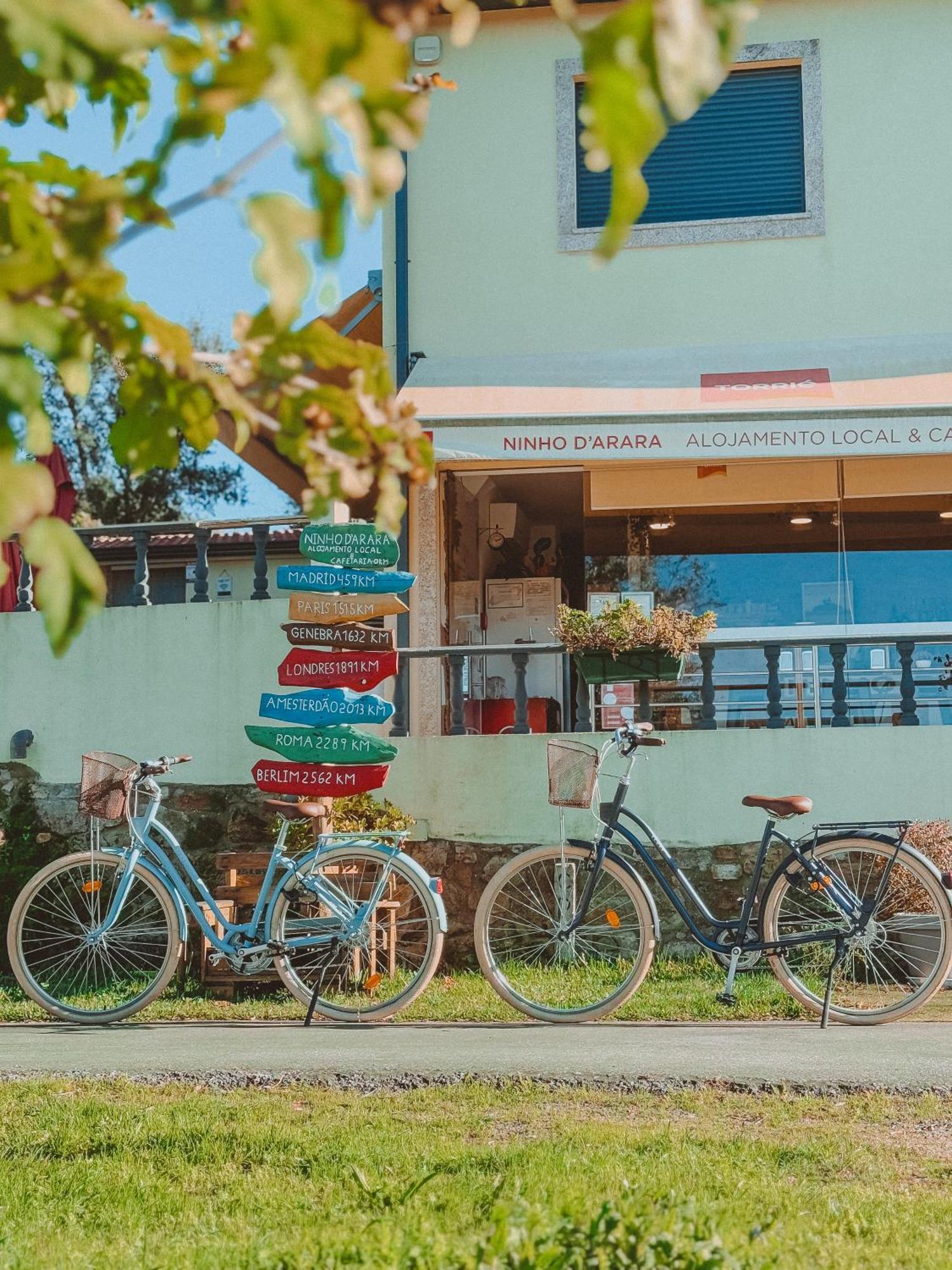 Bed and Breakfast Ninho D'Arara Tondela Zewnętrze zdjęcie